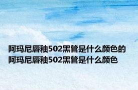 阿玛尼唇釉502黑管是什么颜色的 阿玛尼唇釉502黑管是什么颜色