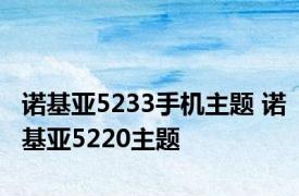 诺基亚5233手机主题 诺基亚5220主题 