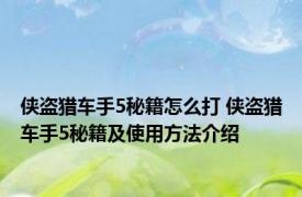 侠盗猎车手5秘籍怎么打 侠盗猎车手5秘籍及使用方法介绍