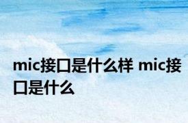 mic接口是什么样 mic接口是什么