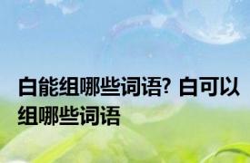 白能组哪些词语? 白可以组哪些词语