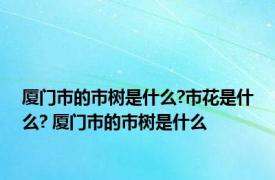 厦门市的市树是什么?市花是什么? 厦门市的市树是什么