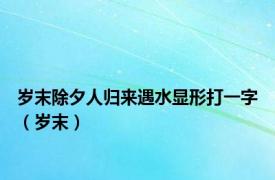 岁末除夕人归来遇水显形打一字（岁末）