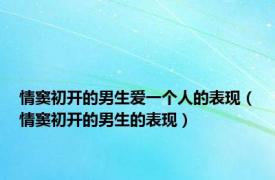 情窦初开的男生爱一个人的表现（情窦初开的男生的表现）