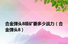 合金弹头8级矿要多少战力（合金弹头8）