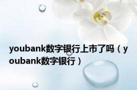 youbank数字银行上市了吗（youbank数字银行）