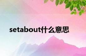 setabout什么意思