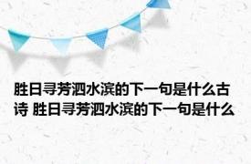 胜日寻芳泗水滨的下一句是什么古诗 胜日寻芳泗水滨的下一句是什么