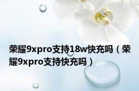 荣耀9xpro支持18w快充吗（荣耀9xpro支持快充吗）