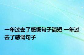 一年过去了感慨句子简短 一年过去了感慨句子