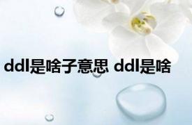 ddl是啥子意思 ddl是啥