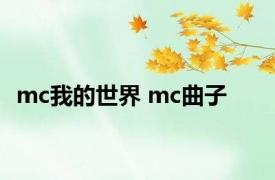 mc我的世界 mc曲子 