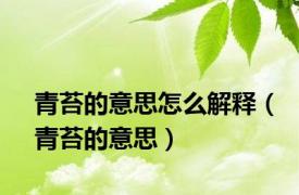 青苔的意思怎么解释（青苔的意思）