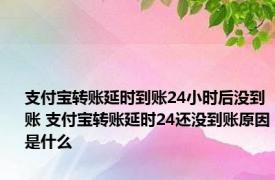 支付宝转账延时到账24小时后没到账 支付宝转账延时24还没到账原因是什么