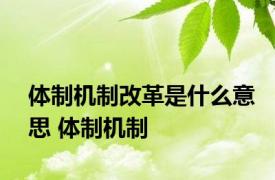 体制机制改革是什么意思 体制机制 