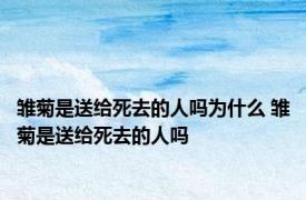 雏菊是送给死去的人吗为什么 雏菊是送给死去的人吗