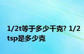 1/2t等于多少千克? 1/2tsp是多少克