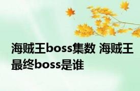 海贼王boss集数 海贼王最终boss是谁