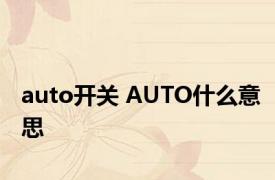 auto开关 AUTO什么意思