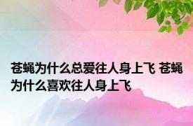 苍蝇为什么总爱往人身上飞 苍蝇为什么喜欢往人身上飞