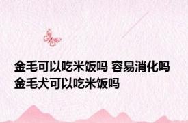 金毛可以吃米饭吗 容易消化吗 金毛犬可以吃米饭吗