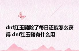 dnf红玉髓除了每日还能怎么获得 dnf红玉髓有什么用