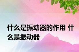 什么是振动器的作用 什么是振动器