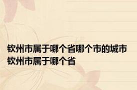 钦州市属于哪个省哪个市的城市 钦州市属于哪个省