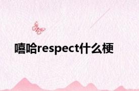 嘻哈respect什么梗