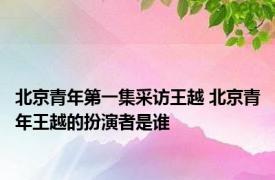 北京青年第一集采访王越 北京青年王越的扮演者是谁