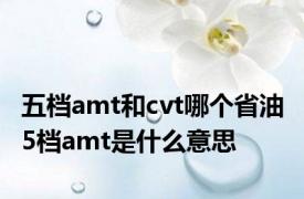 五档amt和cvt哪个省油 5档amt是什么意思