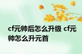 cf元帅后怎么升级 cf元帅怎么升元首