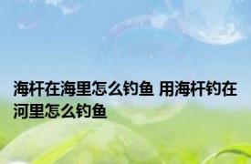 海杆在海里怎么钓鱼 用海杆钓在河里怎么钓鱼