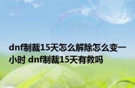 dnf制裁15天怎么解除怎么变一小时 dnf制裁15天有救吗