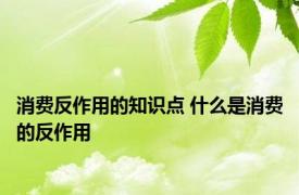 消费反作用的知识点 什么是消费的反作用