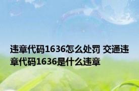 违章代码1636怎么处罚 交通违章代码1636是什么违章