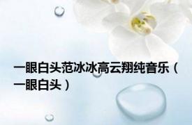 一眼白头范冰冰高云翔纯音乐（一眼白头）