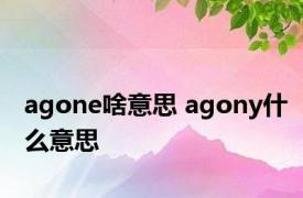 agone啥意思 agony什么意思 