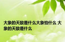 大象的天敌是什么大象怕什么 大象的天敌是什么