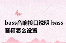 bass音响接口说明 bass音箱怎么设置