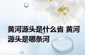 黄河源头是什么省 黄河源头是哪条河