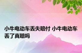 小牛电动车丢失赔付 小牛电动车丢了真赔吗