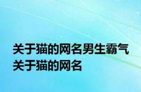 关于猫的网名男生霸气 关于猫的网名