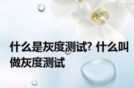 什么是灰度测试? 什么叫做灰度测试