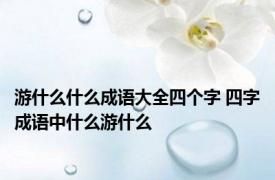 游什么什么成语大全四个字 四字成语中什么游什么