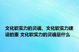 文化软实力的灵魂、文化软实力建设的重 文化软实力的灵魂是什么