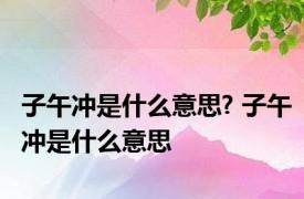 子午冲是什么意思? 子午冲是什么意思