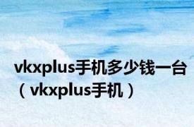 vkxplus手机多少钱一台（vkxplus手机）