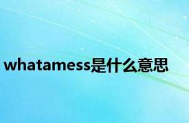 whatamess是什么意思