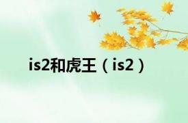 is2和虎王（is2）